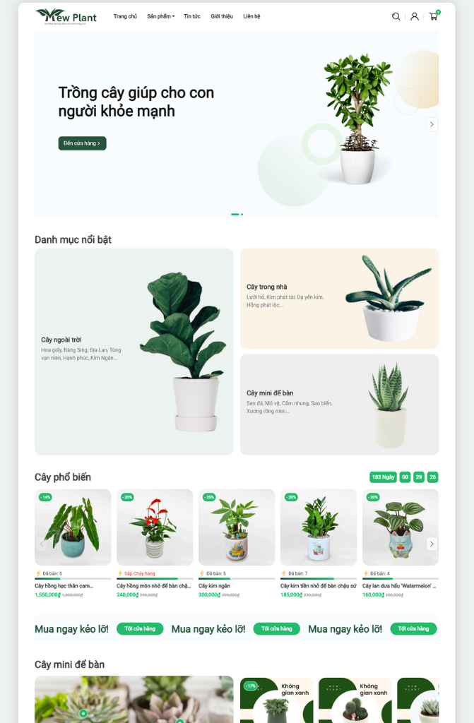 Theme cây cảnh Mew Plant